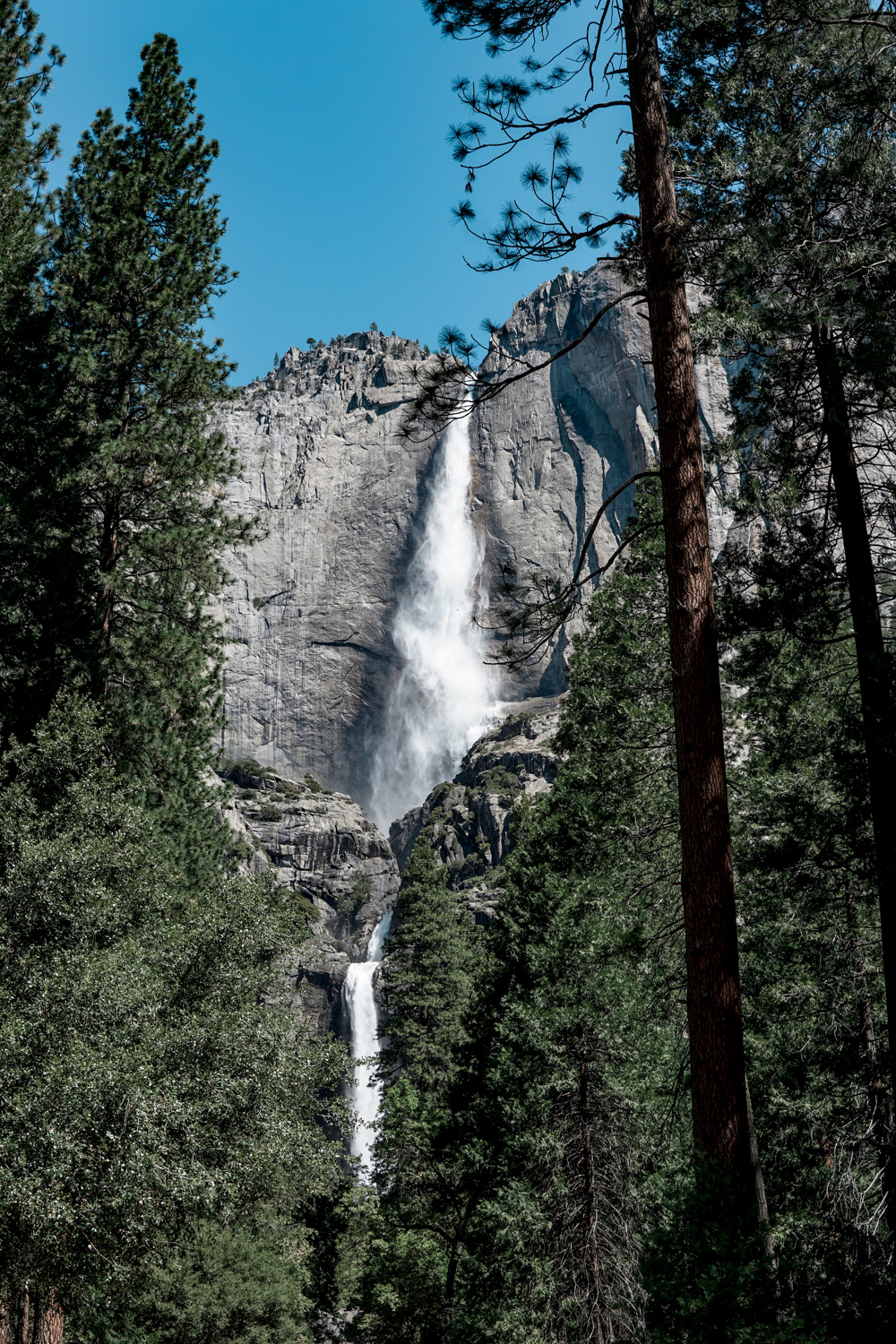 USA Yosemite 06